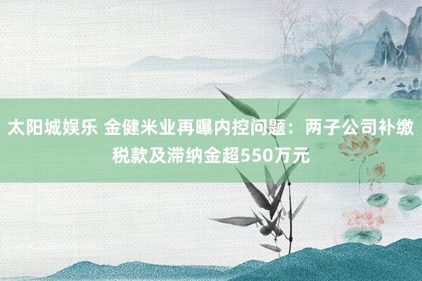 太阳城娱乐 金健米业再曝内控问题：两子公司补缴税款及滞纳金超550万元