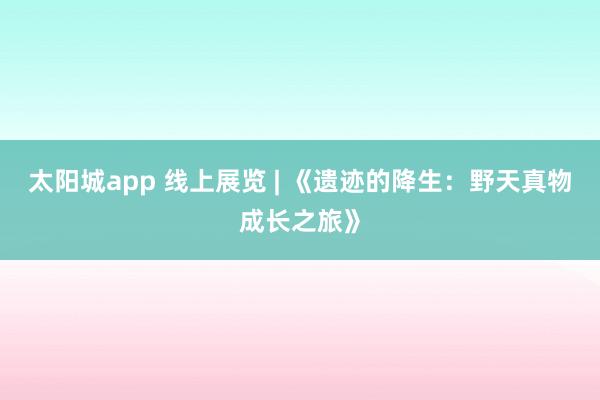 太阳城app 线上展览 | 《遗迹的降生：野天真物成长之旅》