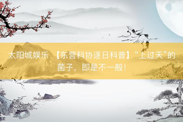 太阳城娱乐 【东营科协逐日科普】“上过天”的菌子，即是不一般！