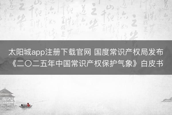 太阳城app注册下载官网 国度常识产权局发布《二〇二五年中国常识产权保护气象》白皮书