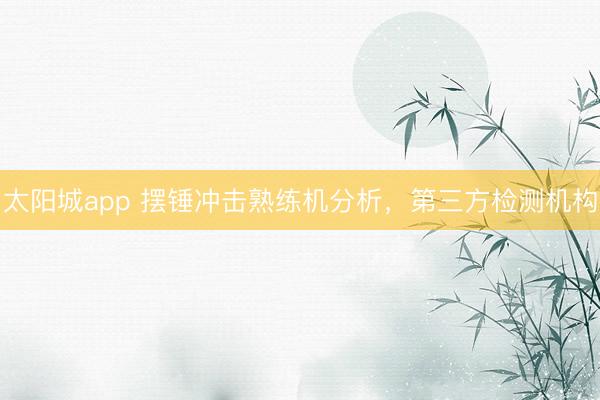 太阳城app 摆锤冲击熟练机分析，第三方检测机构